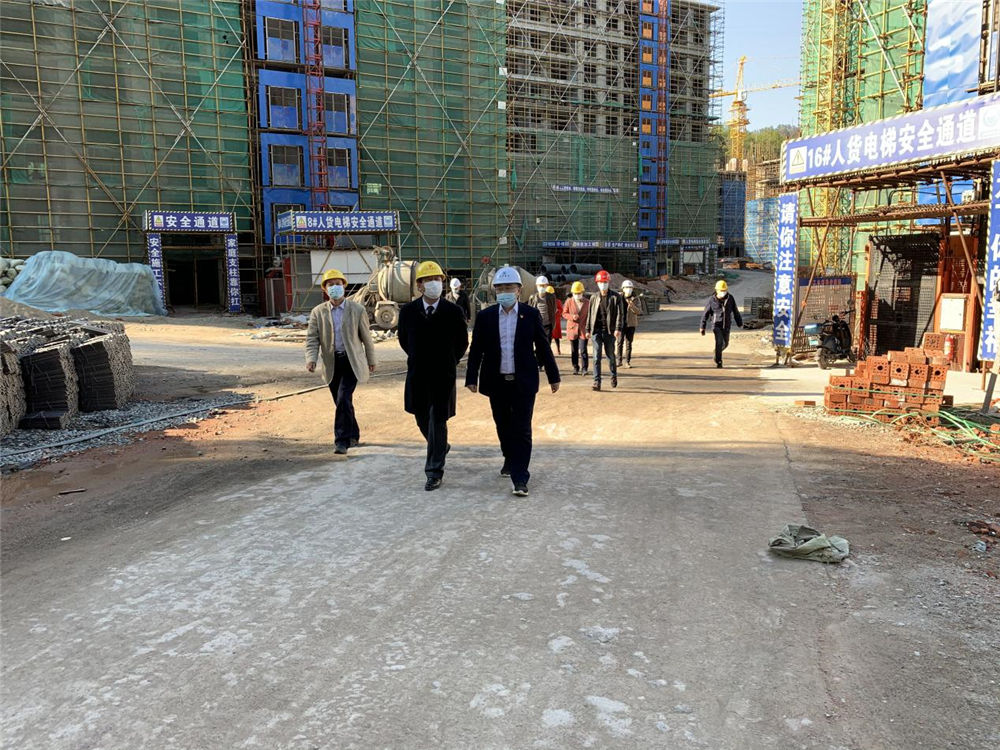 縣領導到文秀湖畔商住小區項目進行調研