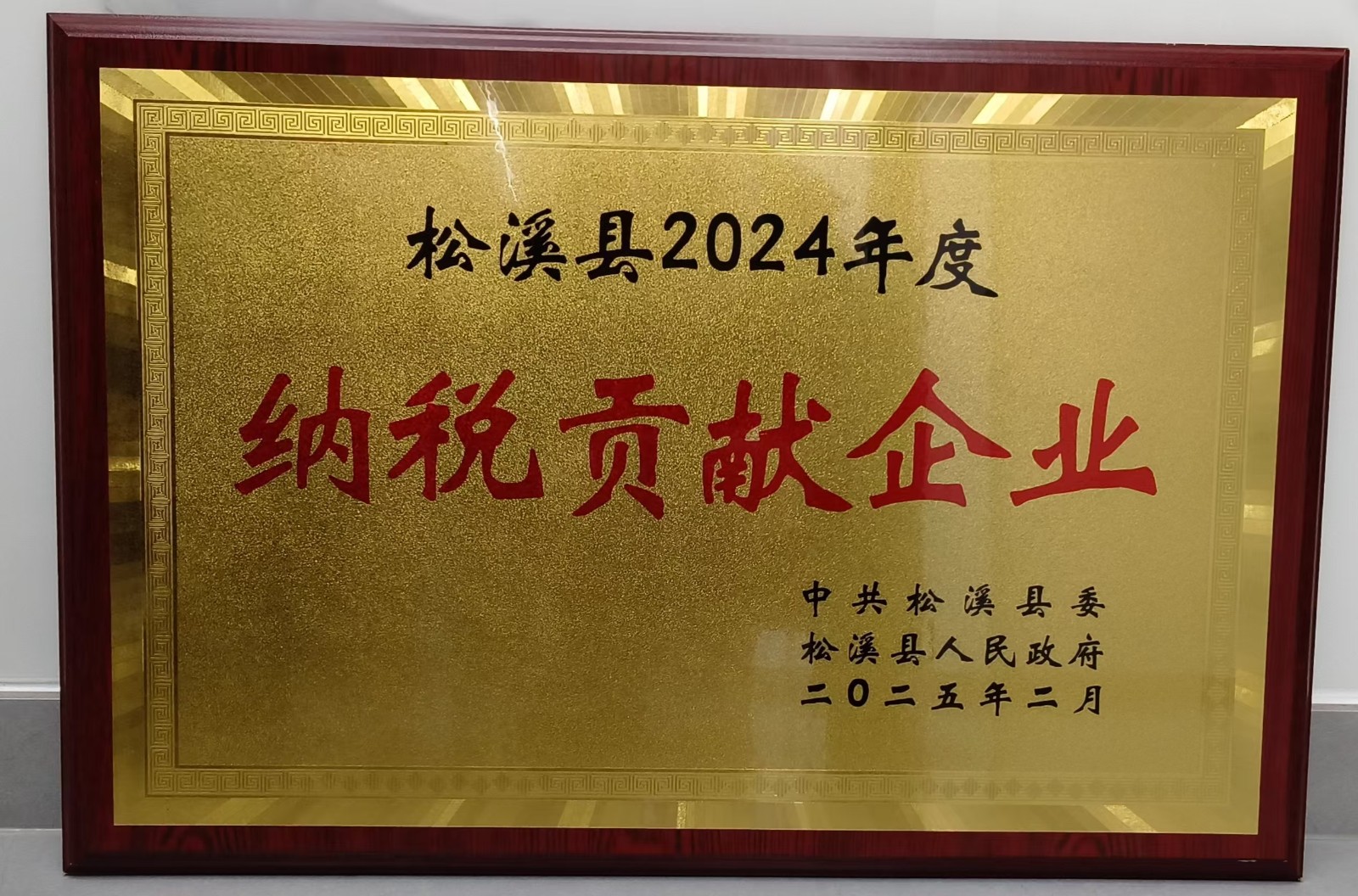喜報！易順建工集團榮獲“松溪縣2024年度納稅貢獻企業”稱號